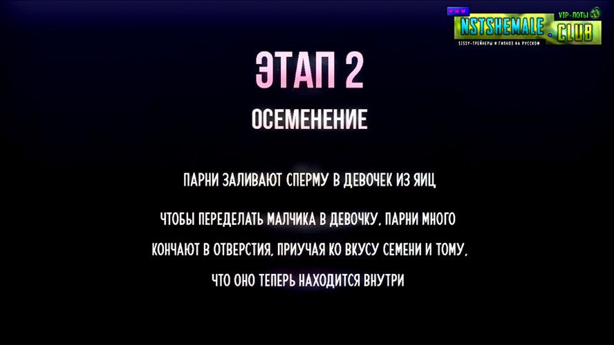 VIP-лот 006 / 5 Stages of Making a Sissy (5 Этапов Создания Девочки) — изображение 2
